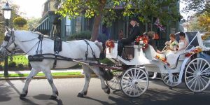 Cape May Weddings-couple in horse drawn carriage
